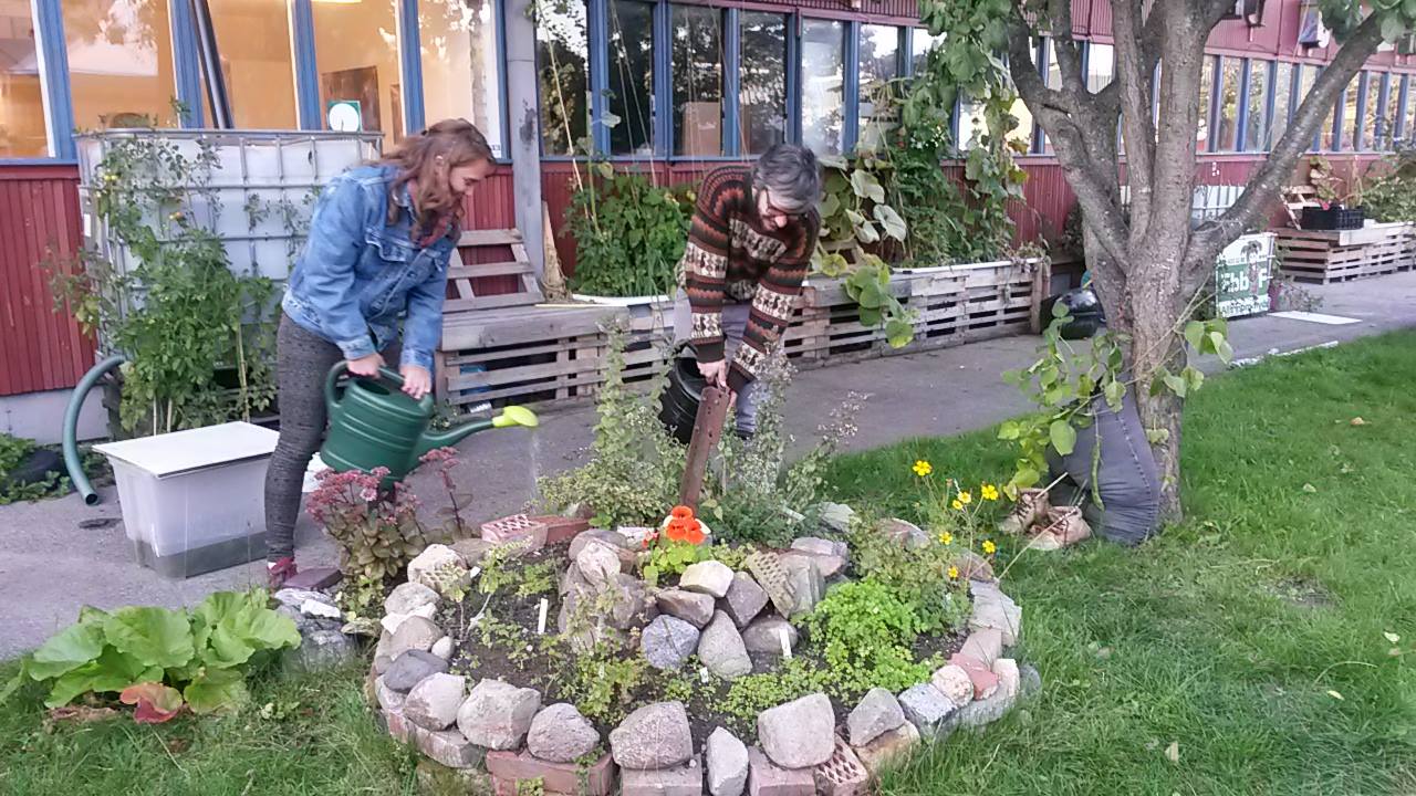 Vi Odlar